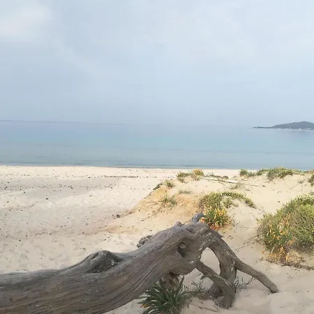 Sunshine Attico Vista Mare